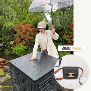 미니 클로드 트리옹프 캔버스