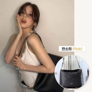 디올리백 라지